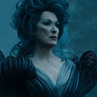 Into the woods witch