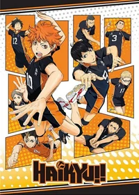 Haikyu rp