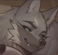 Wolf body guard zara