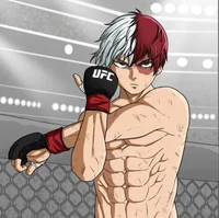 UFC - Todoroki