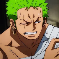 Pirate hunter Zoro