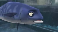 Padak