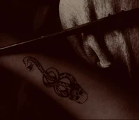 Regulus
