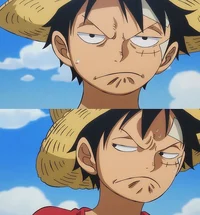 Monkey D Luffy