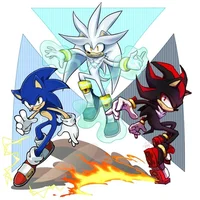Sonic Shadow Silver 