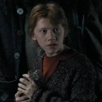HP - Ron B Weasley