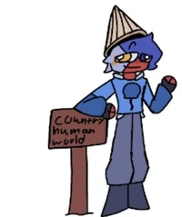 Countryhuman world