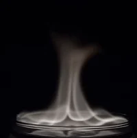 Promisci