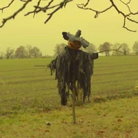 -SCARECROW-