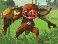 Red Bokoblin