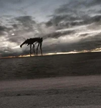 Be a Trevor Creature