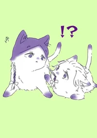 Ран и Риндо 