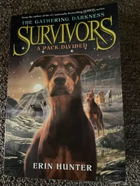Survivors Survival