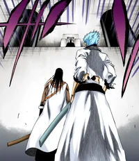 BL-Aizen Tosen Grimm