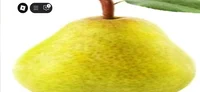 PEAR
