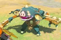Blue Bokoblin