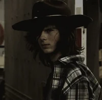 carl grimes
