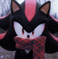 Shadow The Hedgehog