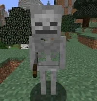 Minecraft Skeleton