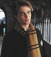 Cedric Amos Diggory 