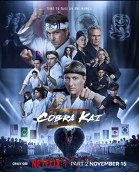 Cobra Kai Set