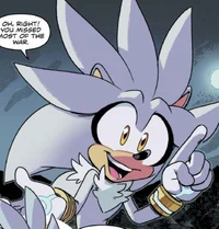 Silver The Hedgehog 