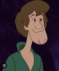 Shaggy 