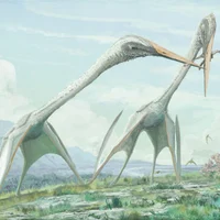 Quetzalcoatlus