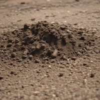 Literally Just Dirt