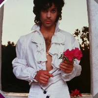 Prince Rogers Nelson