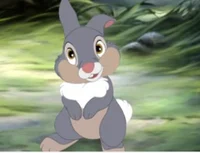 Thumper