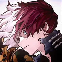 Shoto Todoroki 