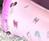 Baby girl bounce hut