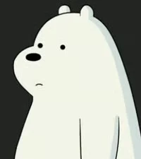 Ice Bear
