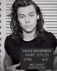 harry styles - mafia