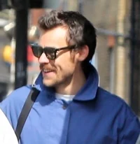 Harry Styles 2025