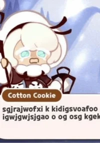 cotton cookie