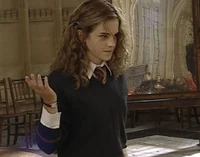 Hermione g