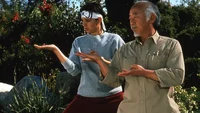 Daniel And Mr Miyagi