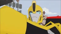 RiD15 Bumblebee