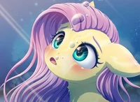 Fluttershy -Crazy-