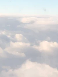 Are you okay my love