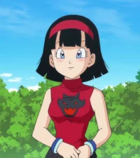 Videl
