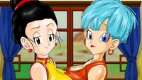 Chi-Chi and Bulma 