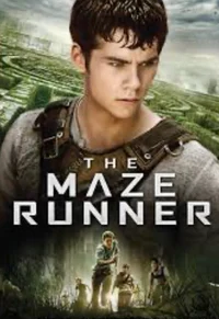 Maze runner