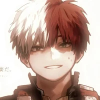 Shoto Todoroki