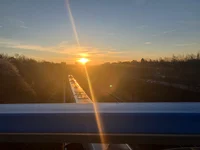 PizzaPetal- Forsaken