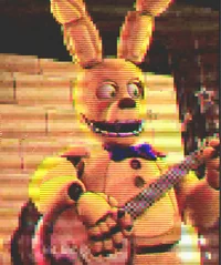 Springbonnie
