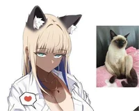 Chica gato Colegiala