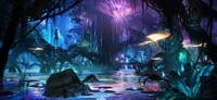 Pandora